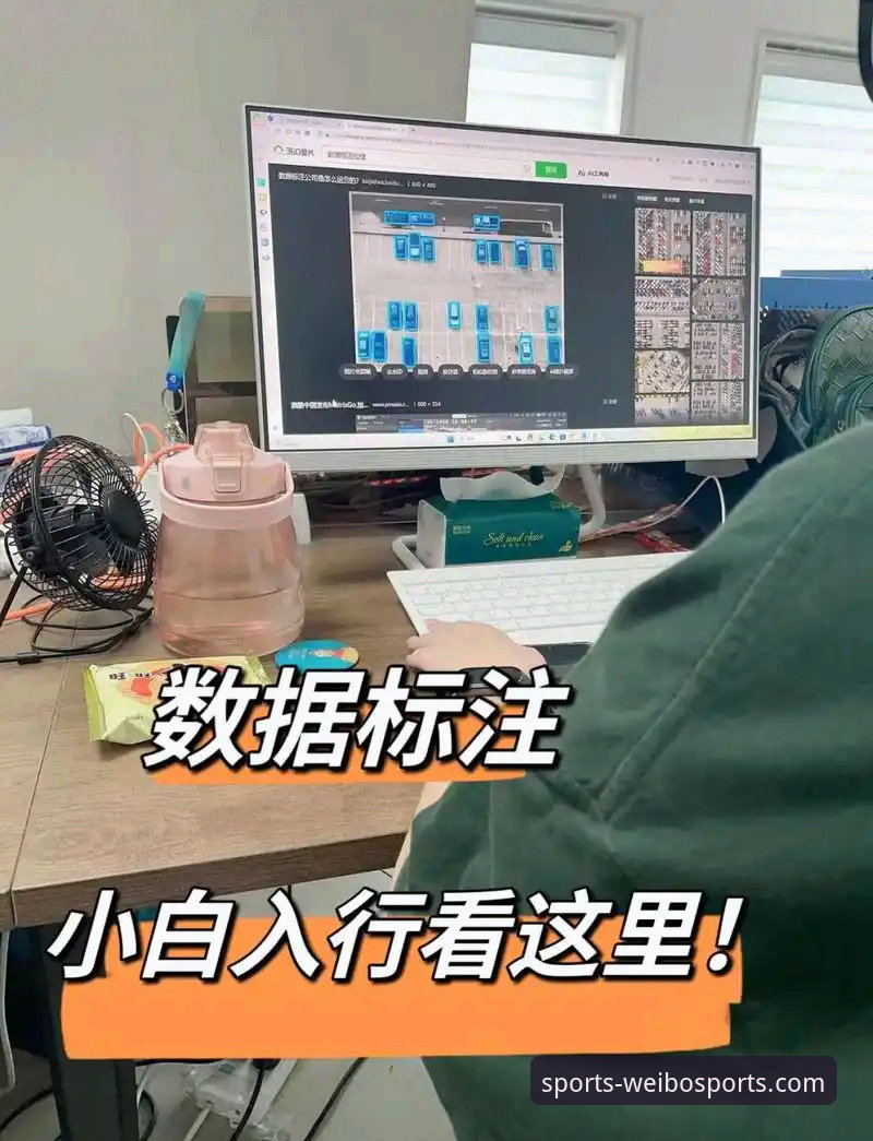 伟博体育平台新手使用指南：深度数据支持让你从零开始轻松上手