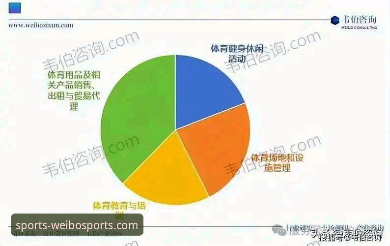 WBSPORTS下载全面解析：专业体育服务平台的行业优势与用户体验深度分析